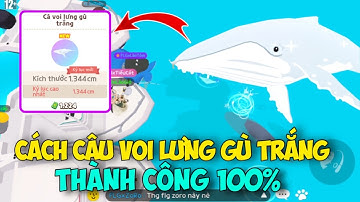 [PLAY TOGETHER] Hướng Dẫn Cách Câu CÁ VOI LƯNG GÙ TRẮNG Thành Công 100%