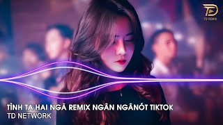 Tình Ta Hai Ngã Remix Ngân Ngân (TD Network) ~ Tại Sao Anh Còn Thương Em Mãi Remix Hót Trend Tiktok