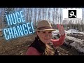 Transforming the Alaska Homestead: Clearing Land for a Future Shop and Exciting New Developments!