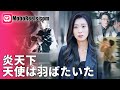 ​炎天下、天使は羽ばたいた​ 🔥 灼熱の車内に閉じ込められた娘を救え!母親の決死の逃避行 #母親の決死救出 #母性愛サバイバル #日本語吹替版