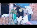 Fasaadi    pakistani comedy heart touching story by mithu khan  pothwar plus