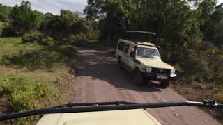 Parc National d'Arusha,Tanzanie. Arusha National Park,Tanzania