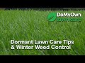 What about my Lawn During the Winter? - Dormant Lawn Care Tips | DoMyOwn.com