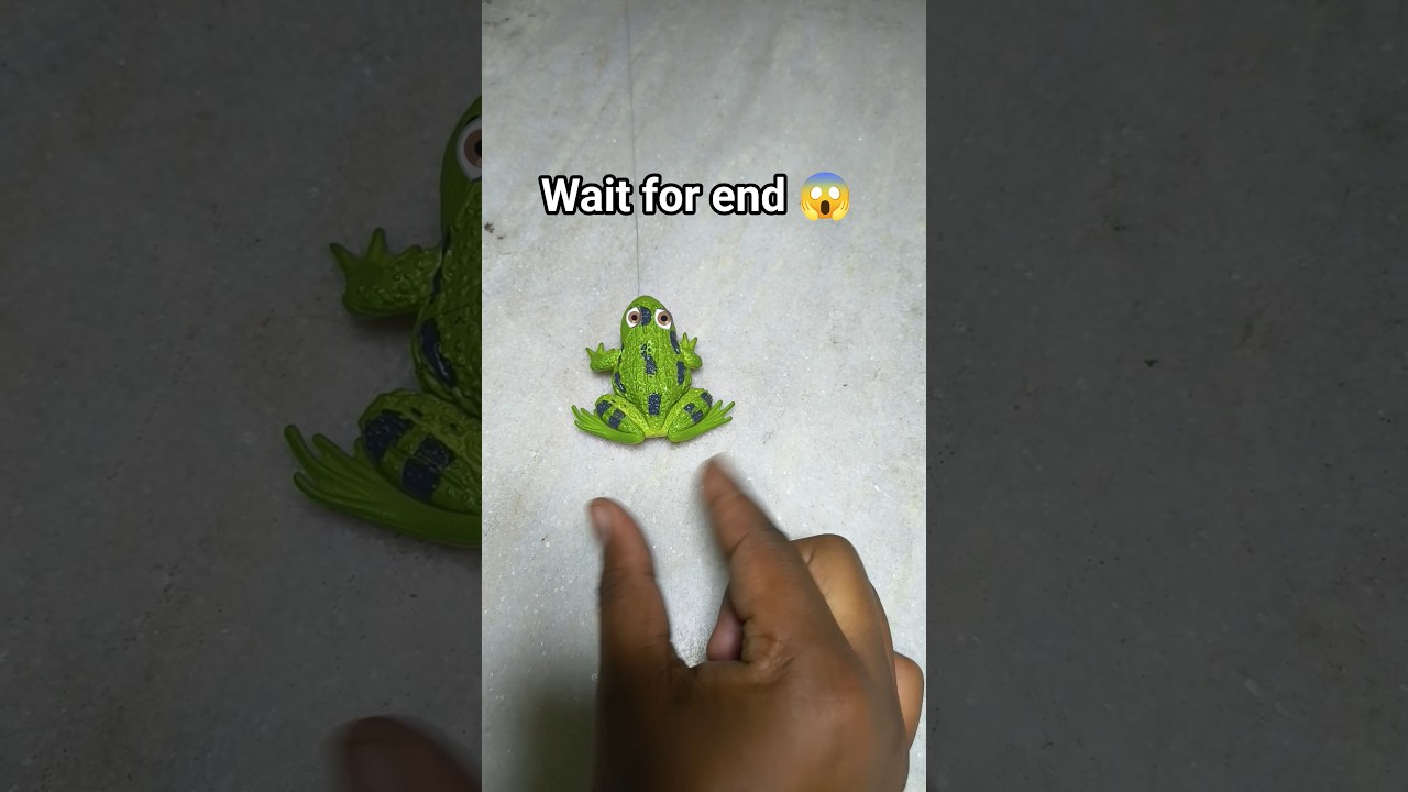 Boing catch frogs funny 🐸 