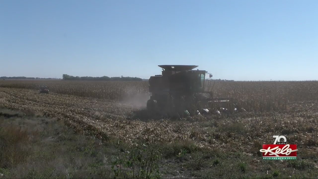 Ag land market slows after historic highs in 2021