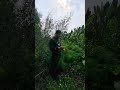 فواءد مذهلة للبسباس البري mp3