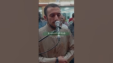 القرآن راحة القلوب وأُنسها❤️ | القارئ أنس أحمد