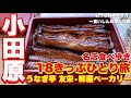 【小田原】【神奈川】【ひとり旅】【食べ歩き】おっさんの歩き方〜食いしん坊ひとり旅〜【うなぎ亭友栄】【柳屋ベーカリー】【鈴廣】