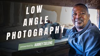 The Magic Of Low Angle Photography In A Photo Hide