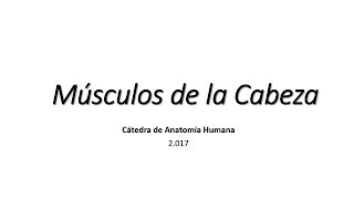 musculos de la cabeza