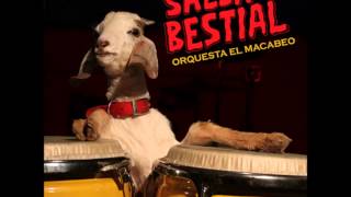 Orquesta El Macabeo LLuvia Con Sol Orquesta El Macabeo LLuvia Con Sol