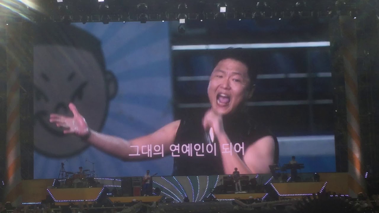 190824 싸이(PSY) - 챔피언 + 연예인 [싸이흠뻑쇼 2019 SUMMER SWAG - 대전]