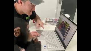 chimpanzee google himself by ZWF MIAMI 2,328 views 1 year ago 41 seconds