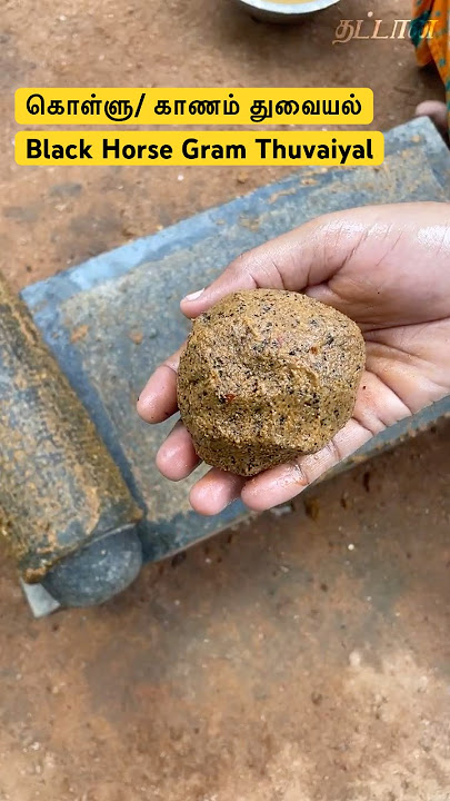 கொள்ளு/ காணம் துவையல் | Black Horse Gram Thuvaiyal | Thattaan #thuvaiyal #traditional #village