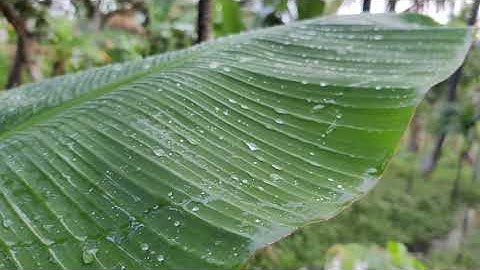 Slow Motion Test  | OnePlus Nord | Handheld Shoot | Droplets