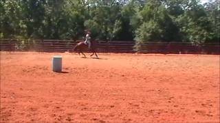 3 Yo Dashin Bye Filly