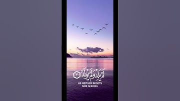 Surah Al-Ikhlas#سوره الأخلاص #قرآن #قران_كريم #quran #ايات#qurankareem #القرآن_الكريم