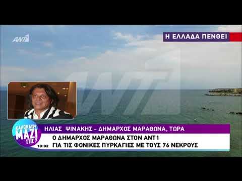 Ο Ηλίας Ψινάκης για τις φωτιές