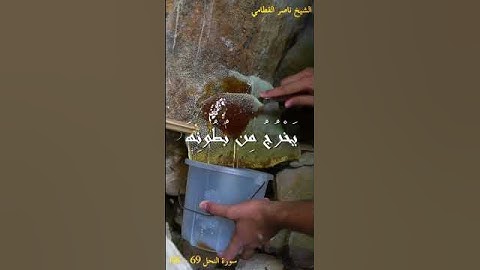 سورة النحل  اية [68 - 69] الشيخ ناصر القطامي