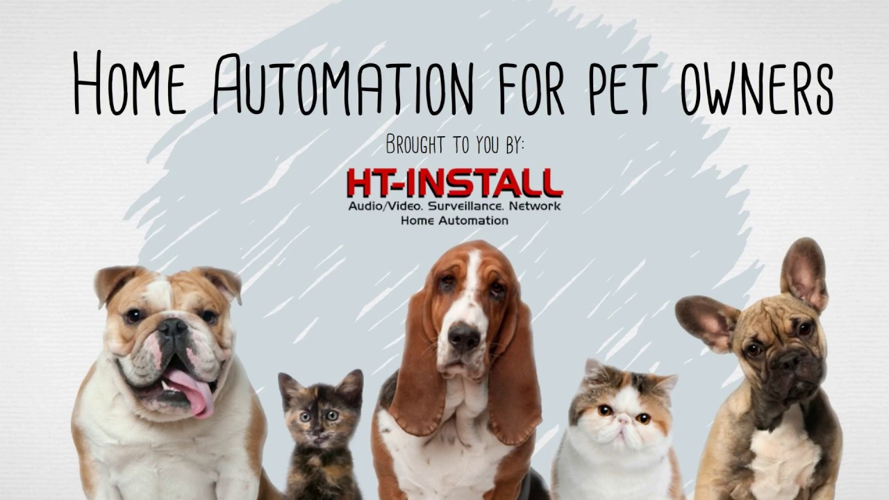 Home Automation for Pet Owners | HT-Install - YouTube