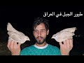 Night exploration in the Badra mountains on the Iran border / Jawad the Adventurer