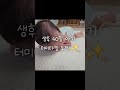#short 생후 40일 아기 터미타임 도전! #승승하우스 #신생아육아 #신생아놀이 #생후40일  #터미타임