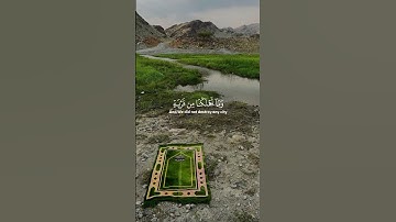 تلاوه مريحه للاعصاب|سورة الحجر|القارئ محمد المنشاوي #القرآن_الكريم #اكسبلور #صلوا_على_النبي #لايك