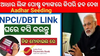 india post payment bank aadhar seeding kaise kare odia | how to link dbt in ippb account  online