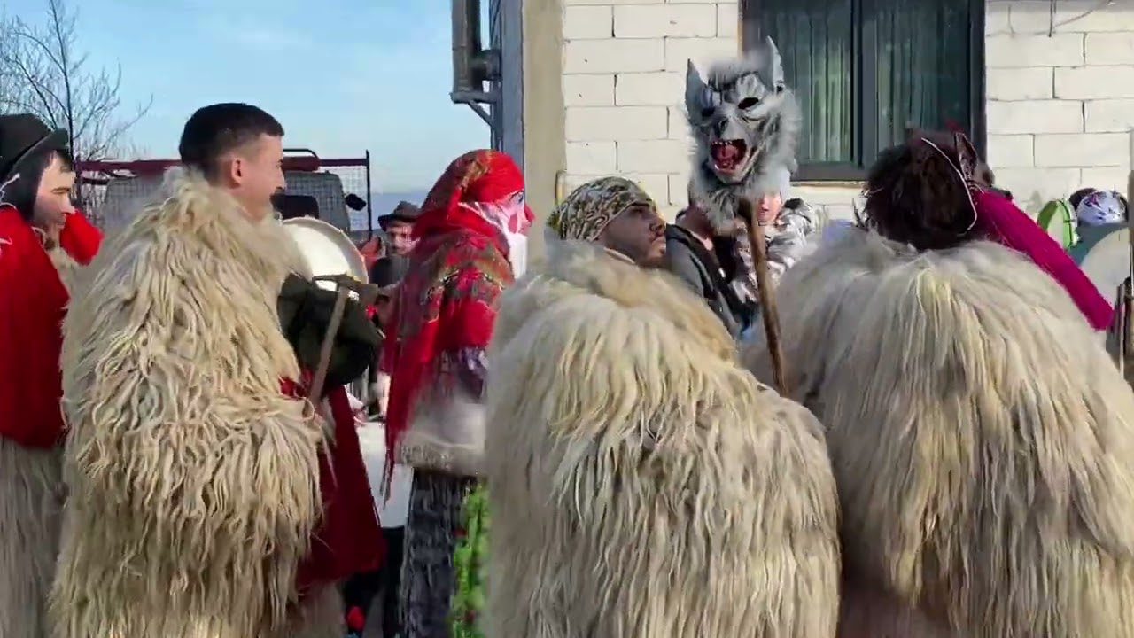 Ursii de la Rotunda 02.01.2023