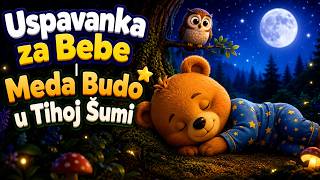 Uspavanka za Bebe | Meda Budo u Tihoj Šumi 🐻 🌙