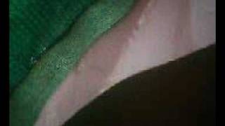 MOV0024A.avi