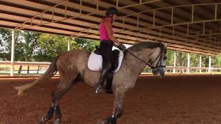 Pam Clinic Sept 2017 Hito/Laura-part 3