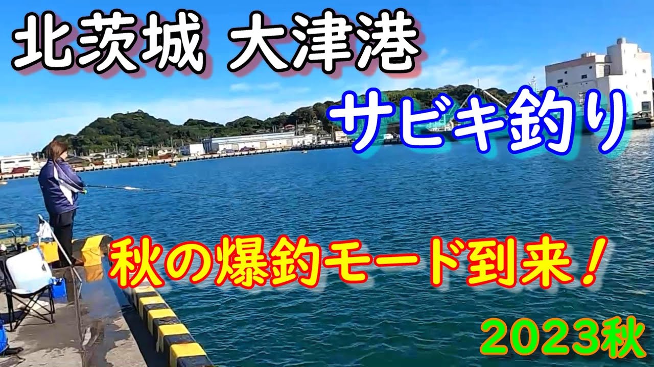 【2023秋北茨城市大津港】うわっ！すごい。 秋の爆釣モードに突入しました!! めっちゃ釣れるウキサビキ釣り！！