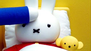 Miffy | Petite Grippe! | Épisodes Complets | Série 3! | Miffy Et Ses Amis! screenshot 3