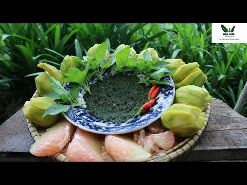 🌿MTVV🌿 || CÁCH LÀM MUỐI LÁ É ĐẶC SẢN ĂN THỊT GÀ, TRÁI CÂY, CƠM..THƠM NGON ĐẶC BIỆT, HÁI ỚT É VƯỜN