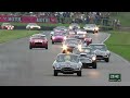 Most beautiful race in the world | 2024 Stirling Moss Memorial Trophy full race | Goodwood Revival