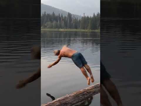 He dives into