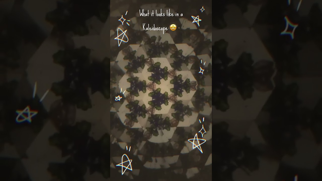 What it looks like inside a Kaleidoscope ! 🤩 
