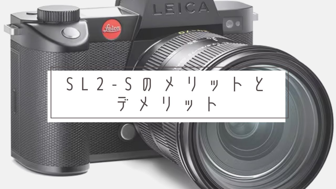 I've summarized the advantages and disadvantages of the SL2-S