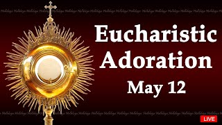 Powerful Eucharistic Adoration I Sunday May 12 2024 I 3.00 Pm