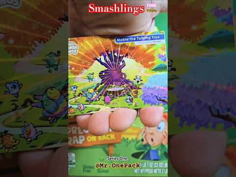 OOP: Panini Piñata