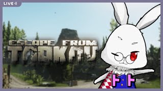 【VTuber】雑談しながらのんびりタスク　【EFT】