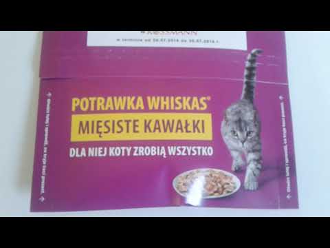 Wideo: Karma „Whiskas” Dla Dorosłych Kotów I Kociąt: Przegląd, Skład, Zakres, Wady I Zalety, Recenzje Lekarzy Weterynarii I Właścicieli, Porównanie Z „Friskas”