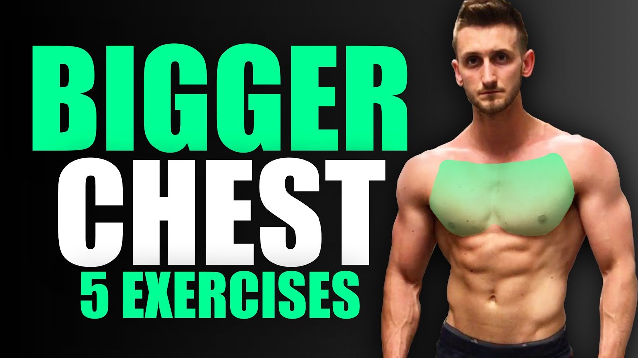 The PERFECT Chest Workout For Strength & Aesthetics (TOP 5 The PERFECT Chest Workout For Strength & Aesthetics (TOP 5