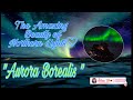 The Beauty of AURORA BOREALIS | Be Ready To Be Amaze
