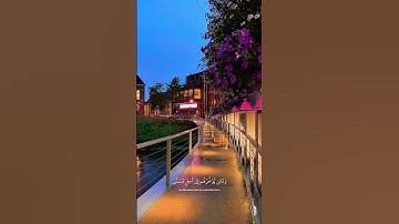 سورة النحل الآية 61 | عبد الرحمن مسعد #quran #قرآن #عبدالرحمن_مسعد #سورة_النحل  #اكسبلور  #هولندا