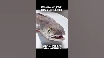 Почему рыбу Хек продают без головы?