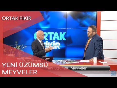 Video: Yaban Mersini şəkərsiz Qış üçün öz Suyunuzda Necə Bişirilir