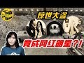 【小烏說案】驚世大盜整容後，竟成網紅明星！風流瀟灑逃亡36年，英國列車大劫案 [腦洞烏托邦 | 小烏 | Mystery Stories TV]