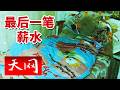 《天网》1999年旅社命案：服务员被掐死在房间 2001年抢夺案卷照片竟成了关键！20260525